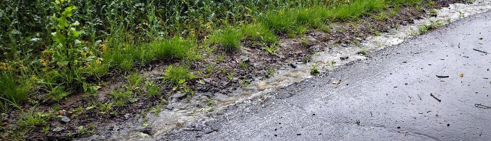 Betrachtet aus dem Desasterkreis: Frühlingsspaziergang mit Gratis-Fußbad.