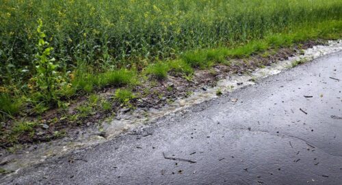 Betrachtet aus dem Desasterkreis: Frühlingsspaziergang mit Gratis-Fußbad.