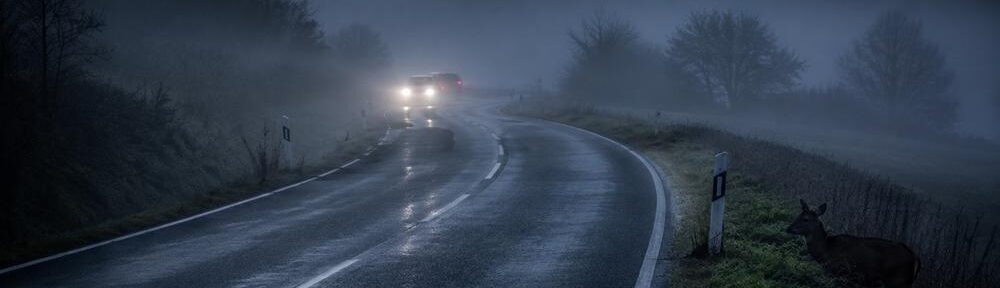 Neblige Landstraße im frühen Morgenlicht, ein Reh steht am Straßenrand - KI generiert