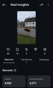 Betrachtet aus dem Desasterkreis: Eine Hornisse macht fast 9.000 Aufrufe, Instagram schaut offenbar doch hin ;-)
