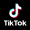 Der Desasterkreis bei TikTok