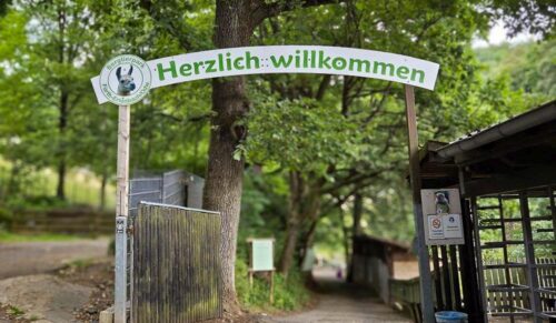 Eingang zum Bergtierpark Fürth-Erlenbach mit Willkommensschild zwischen Bäumen und Wegen.