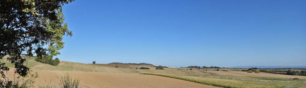 Das Feld Ende September, inzwischen fast vollständig abgeerntet und kahl