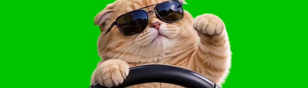 Hier steht sie still, die fahrende Katze. Wollt ihr sie in euren Videos bewegen?